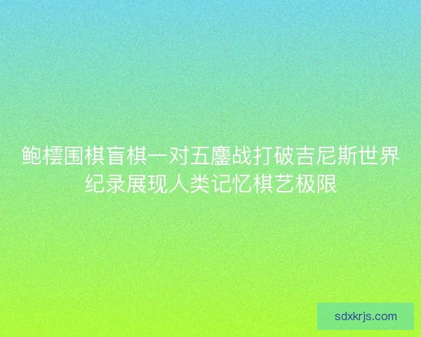 鲍橒围棋盲棋一对五鏖战打破吉尼斯世界纪录展现人类记忆棋艺极限 鲍橒围棋盲棋一对五鏖战打破吉尼斯世界纪录展现人类记忆棋艺极限